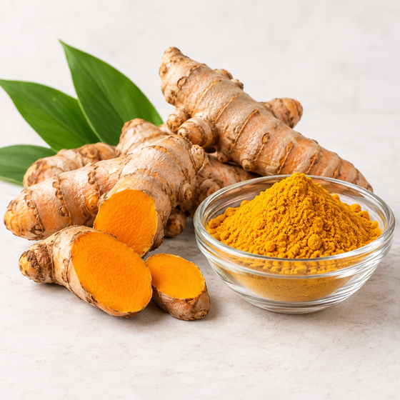 Fresh turmeric root and turmeric powder